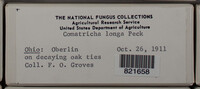 Image Associated With the Occurence